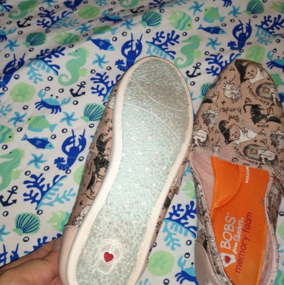 Bob's cat shoes